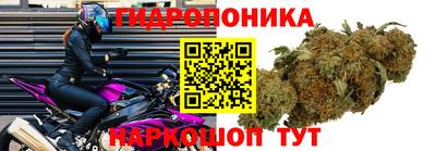 гидра Гусь-Хрустальный