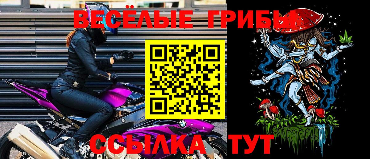 Псилоцибиновые грибы MAGIC MUSHROOMS Ртищево