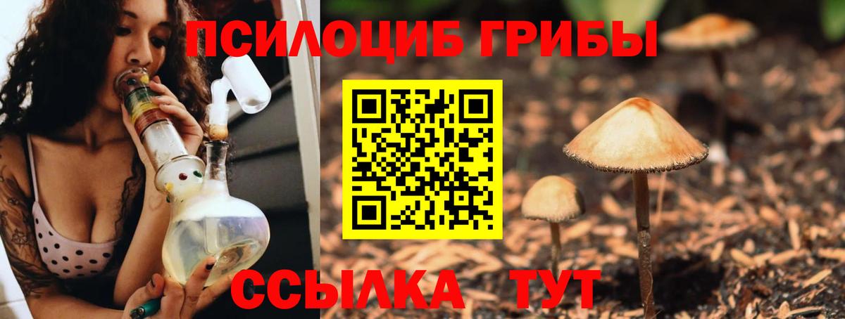 Галлюциногенные грибы мицелий  Псилоцибиновые грибы мицелий  Вход с VPN  Ртищево 